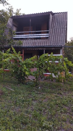 Продам улюблену дачу у Ніжині! - фото 1