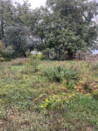 Будинок земельна ділянка - фото 1