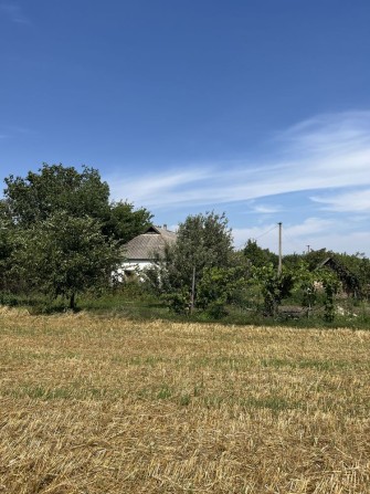 Продам будинок с Кибинці м Миргород - фото 1