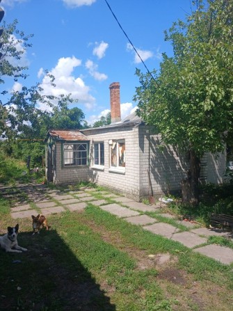 Продам дом в с.Орловщина ! - фото 1