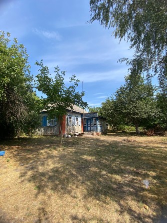 Здаю будинок в оренду - фото 1