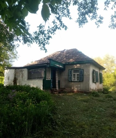 Дача в селі,біля Прилук - фото 1