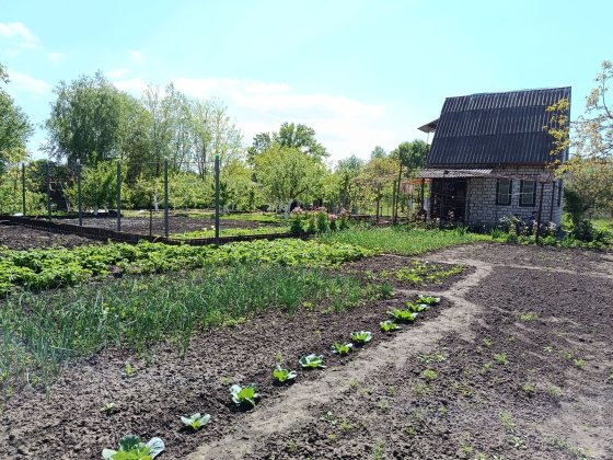 Продається дача СТ "Дніпро-2",вулиця Садова 17 Светловодск