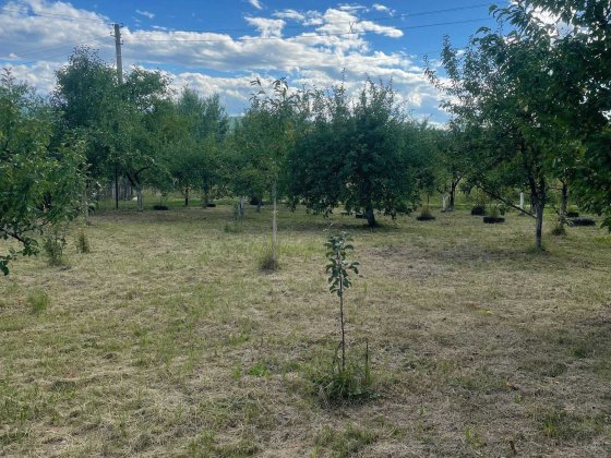 продам дачу в  СК полонина 8 сотих. Ціна за сотку! Трускавец