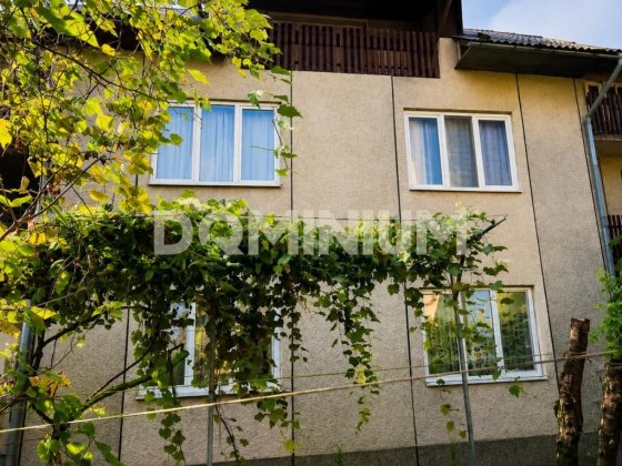 Інвестиція в центрі Хуста: будинок + прибутковий бізнес Хуст