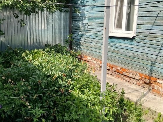 Продам дом в Шостке