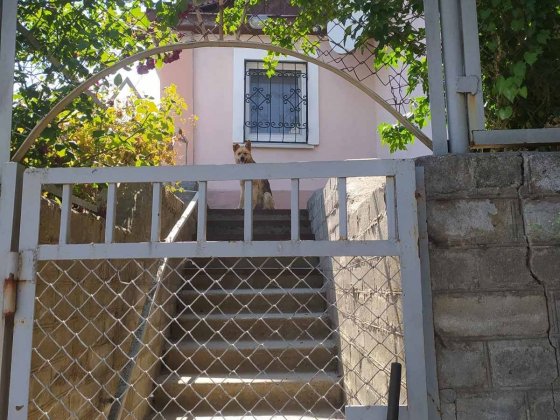 Будинок в Нікополі на продаж або обмін Нікополь