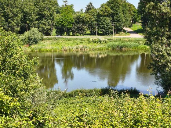 Продам будинок в Луці Мелешківській 1815 Лука-Мелешковская