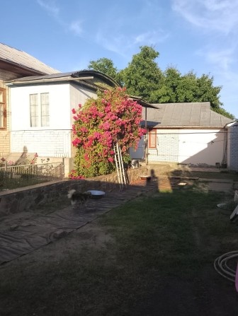 Продам будинок з літньою кухнею , 2 колодязі, гараж - фото 1