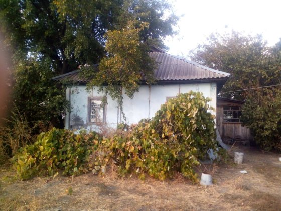 Продам  дом від власника Старые Кодаки