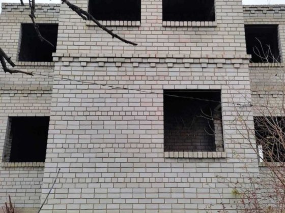 Продам Дом Два в Орловщине (2 дома и 50 соток) Орлівщина