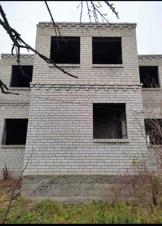 Продам Дом Два в Орловщине (2 дома и 50 соток) - фото 1