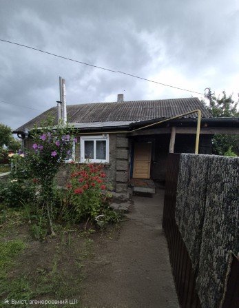 Продаж окремого будинку в с. Тетерівка - фото 1