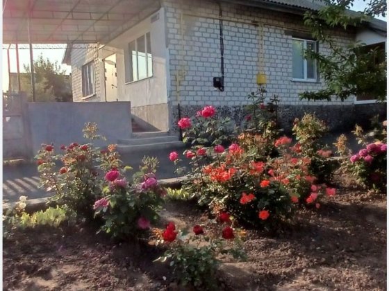 Продається власний будинок Попельня
