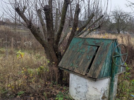 Продається будинок в селищі Хорошів Хорошів