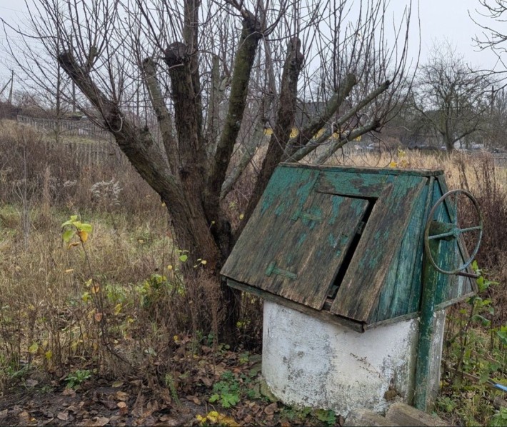 Продається будинок в селищі Хорошів - фото 1