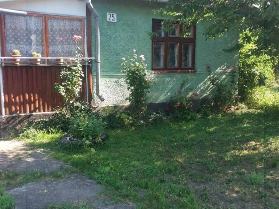 Продам будинок. м.Свалява Свалява
