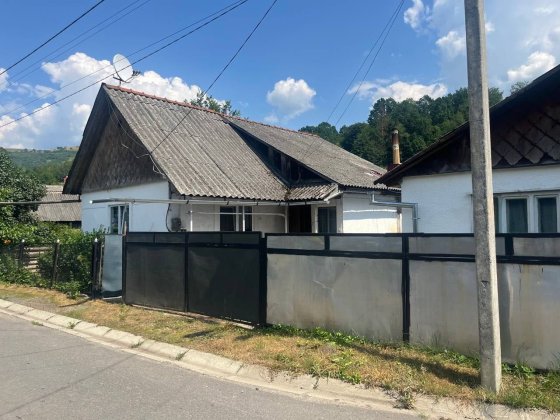 Будинок у Рахові з двома земельними ділянками Рахов