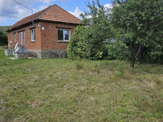 Будинок у селі Невицьке, Ужгородського району Невицкое