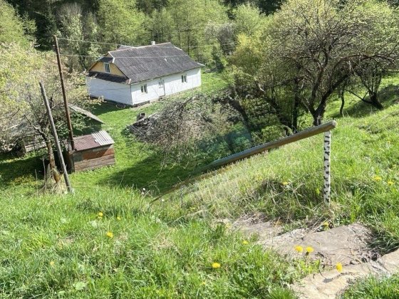 Будинок з ділянкою 30 сотих з виходом до річки Верховина