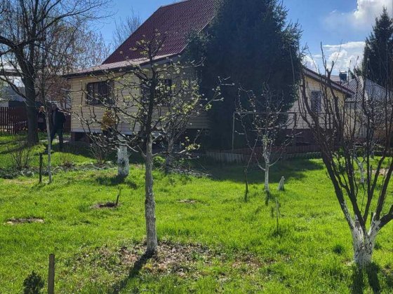 Продам будинок  с.Гореничі Без комісії