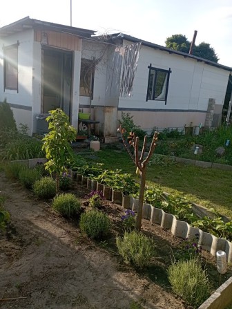 Продам доглянуту дачну ділянку - фото 1