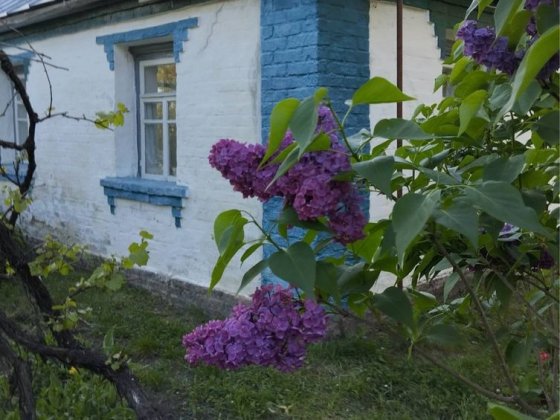 Продам будинок с Високе Білоцерківського рн Тетиев