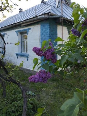 Продам будинок с Високе Білоцерківського рн - фото 1