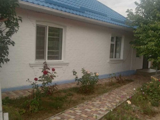 Продається будинок у Таращі - затишний двір, 2 види опалення, власна вода, гараж Тараща