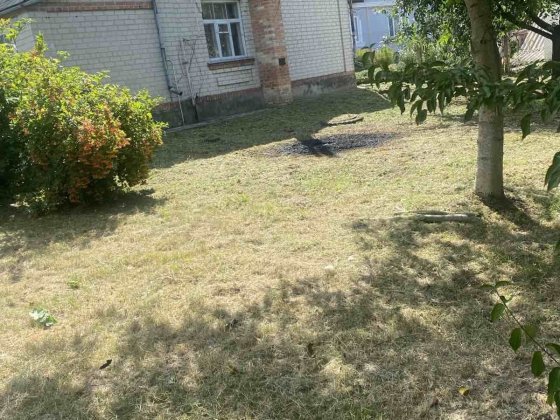Продається хата. Тараща