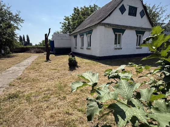 Продаж будинку в Бородянці – затишок, природа та велика земельна ділянка! Бородянка