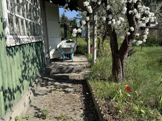 Продається дача в садовому кооперативі Глеваха