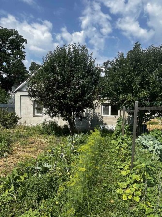 Клавдієво-Тарасове-продам цегляний будинок ! - фото 1