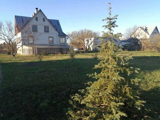 Продам будинок, село Зазим'я