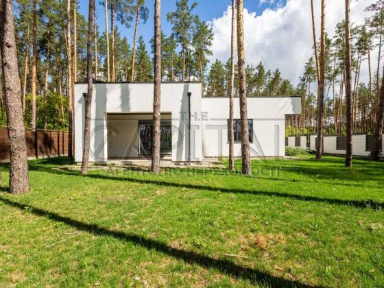Продаж будинку 176 м2 Дмитрівка 12 соток Сосни Озеро Охорона 15 кВт Центральні комунікації