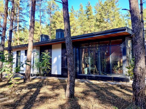 Будинок у закритому котеджному містечку в ЖК Desna Residence / Альпійське містечко, Зазим'я