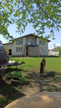 Продаж будинку в с.Нове Київської обл. (Боярка ОТГ)10 км до Києва - фото 1