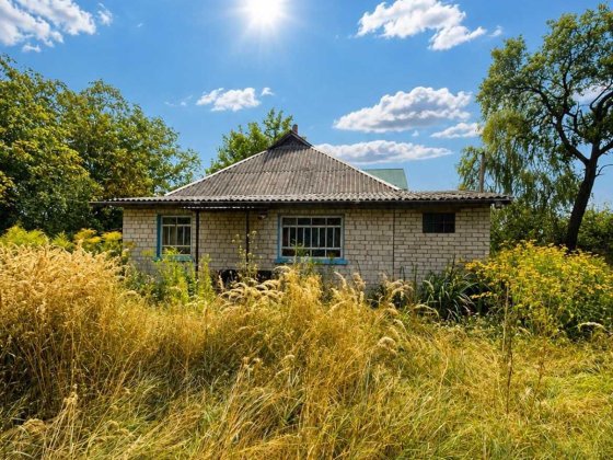 Продаж будинку 82 м. кв та земельної ділянки 24 сотки  у с. Пухівка
