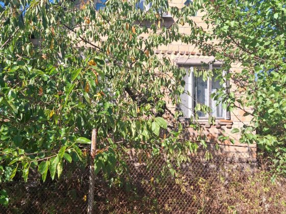 БЕЗ % Дача, село Рожни, Броварський район, СТ “Портовик”
