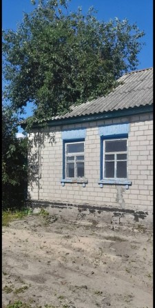 Продам будинок с.Семиполки Броварський р-н, 67м/кв, септик, дві свердловини, 25 сот. землі. - фото 1