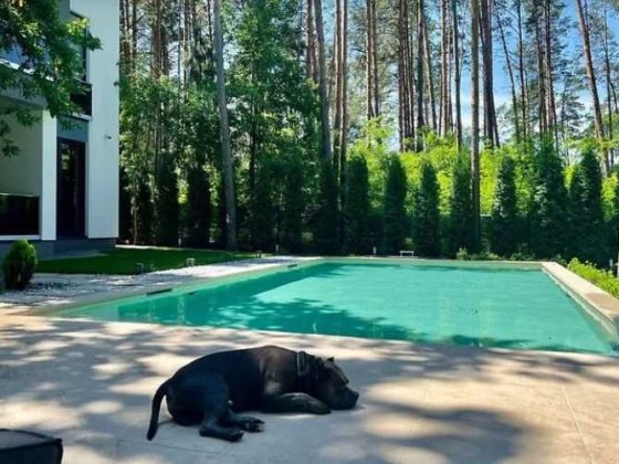 Без комісії ,будинок з басейном та власним лісом | Тарасівка,обухівський р-он.