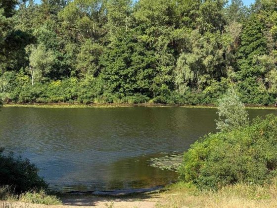 Продаж Дачі , Баня  ,  Річка та Ліс,  Хотянівка, терміново
