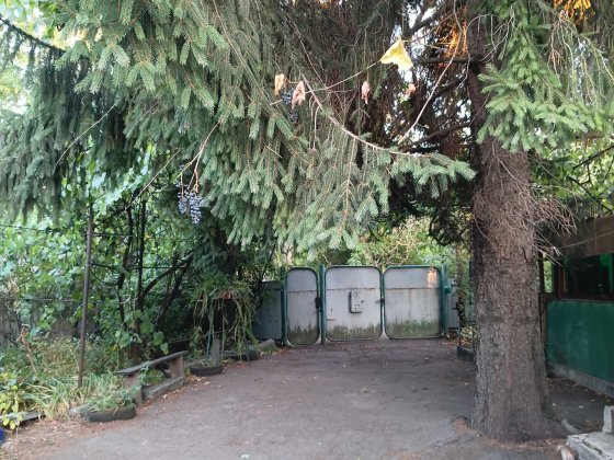 Кіровоградська область, село Рівне. Продається будинок. Новоукраинка