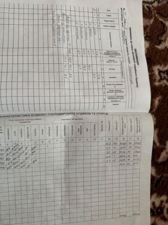 Продається будинок Смт Камʼянець (Кіровоградська обл) раніше Новгородка - фото 1