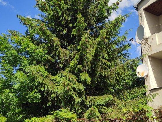 продаж 1/3 будинку Винники Львів Винники