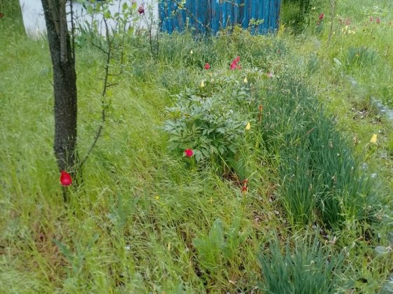 Дача на літо для рибалки! Сливино