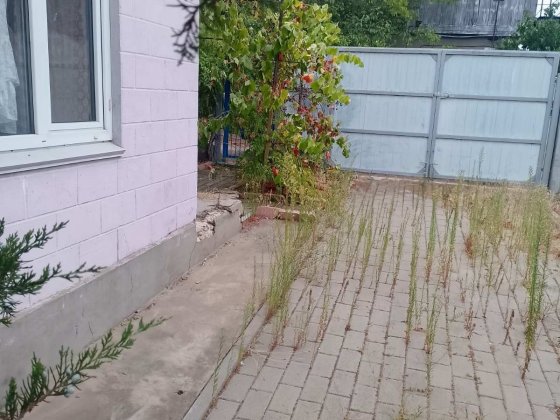 Продам ЖИЛУ ДАЧУ ‼️СВЕРДЛОВИНА (Скважина)‼️Баловне 20км  Миколаїв Продам дачу с.Баловное , скважина  Баловне