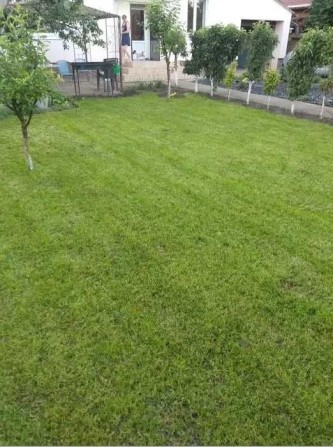 продам Дом в с. Фонтанка. 2 поверха, 4 кімнати, капітальна будівля, ділянка 5 соток. - фото 1