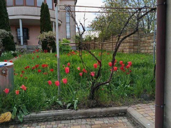 Продам 2-х этажный дом в Нерубайском с панорамным видом на лиман Нерубайское