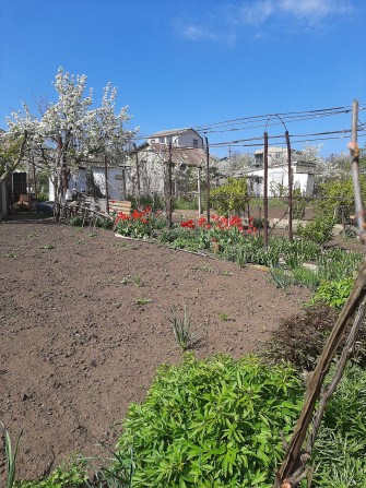 Продам дачу на сухом лимане - фото 1